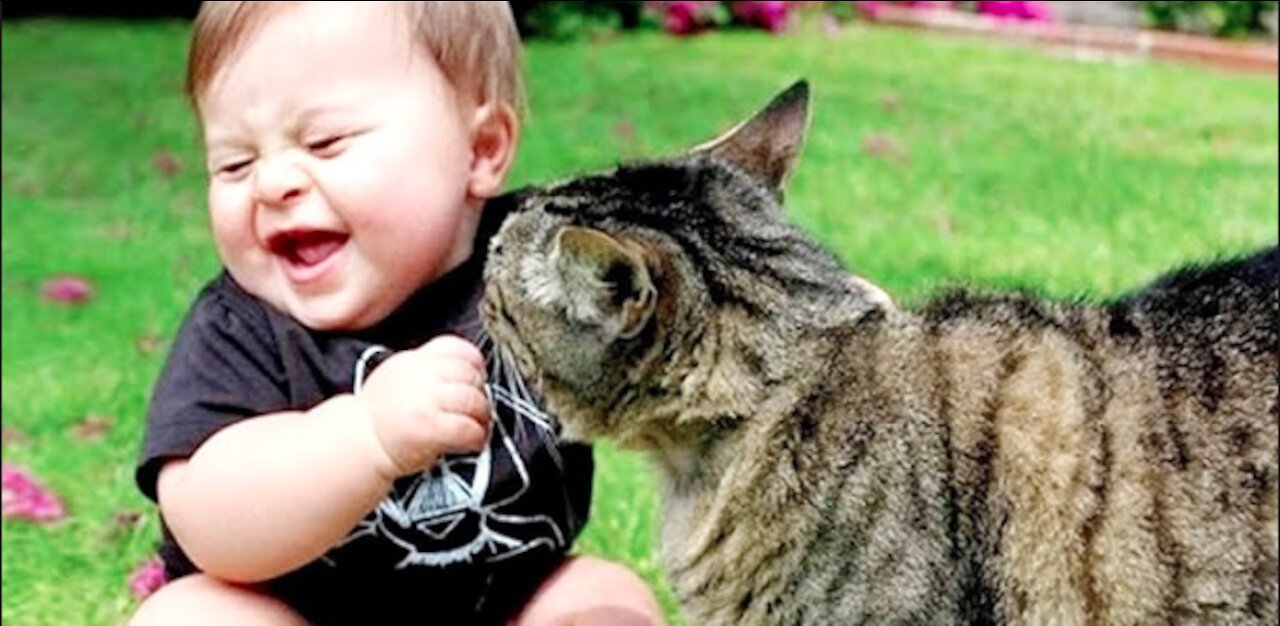 Fun and cute baby and cats compilation, try not to laugh