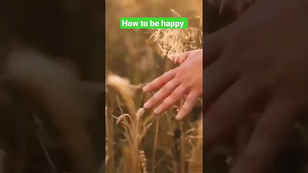 how to train your brain to be happy and positive #shorts #shortsfeed #shortsvideo #shortsviral