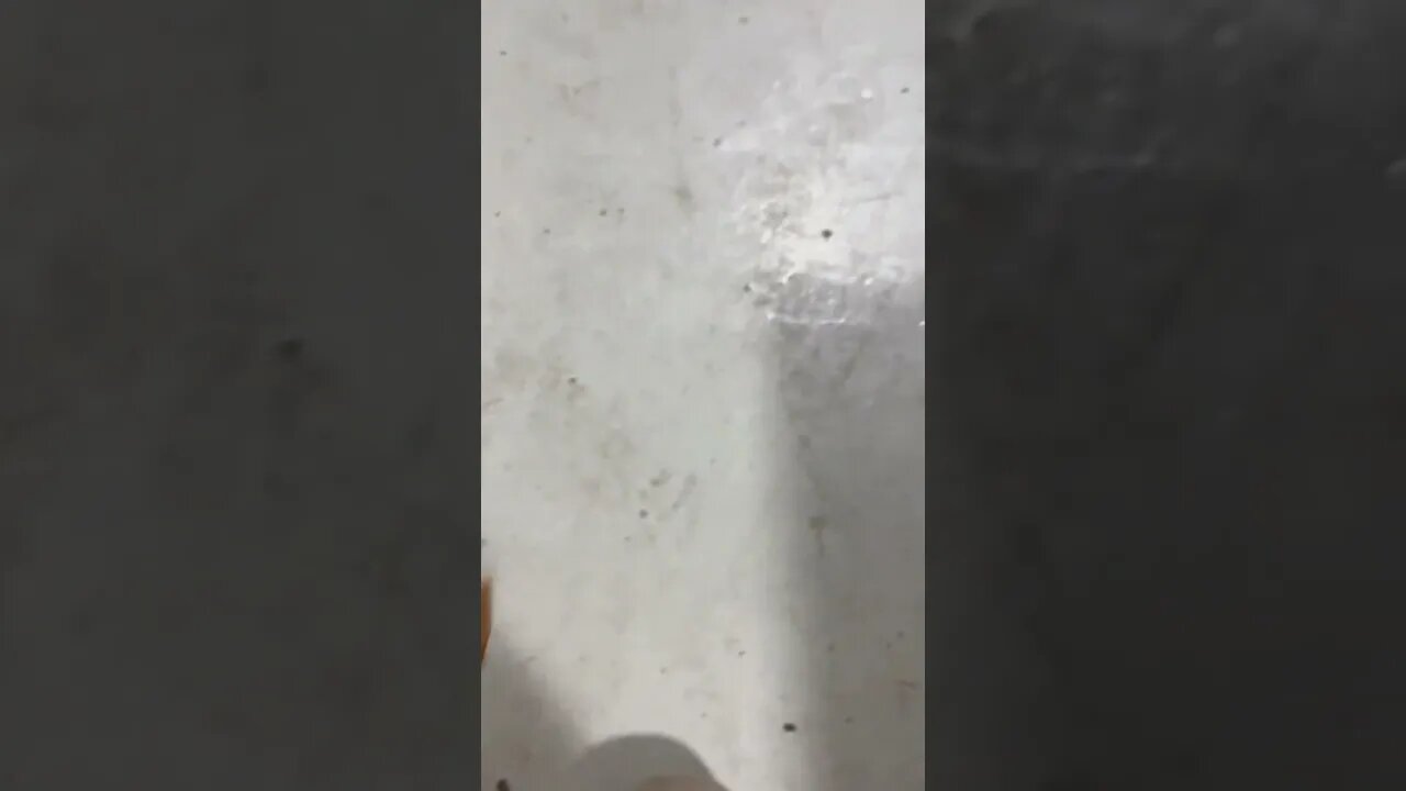 Explorer vibrates under acceleration.