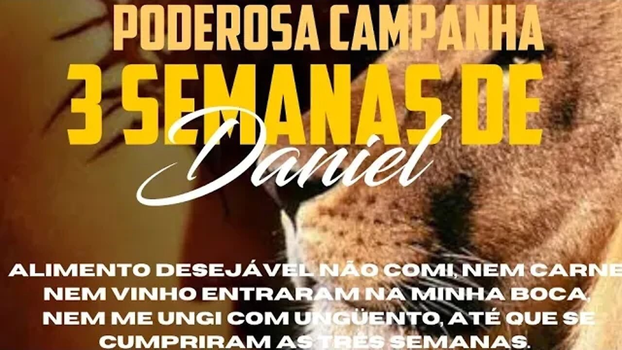 11° dia da campanha dos 21 dias de Daniel