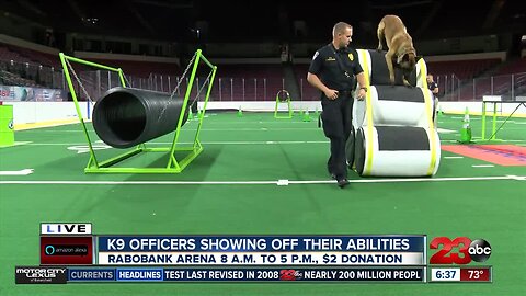 K9 officers from around the state showing off their abilities Saturday to help local veterans