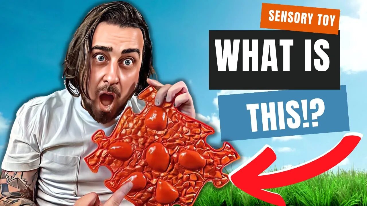 You Won't Believe How INSANE This Sensory Toy Is!