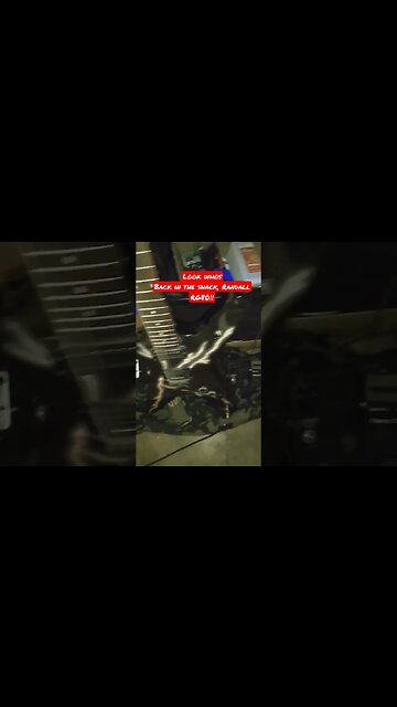 #randallamps #guitar #heavymetal #music #dimebagdarrell #metal #guitarmania #guitarplayer #joyo