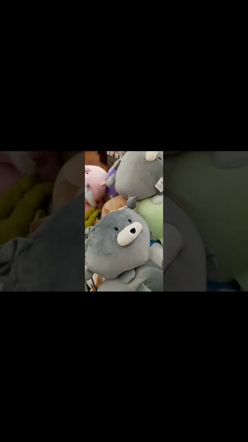 I almost thought these looked like squishmellows #shorts #plushies