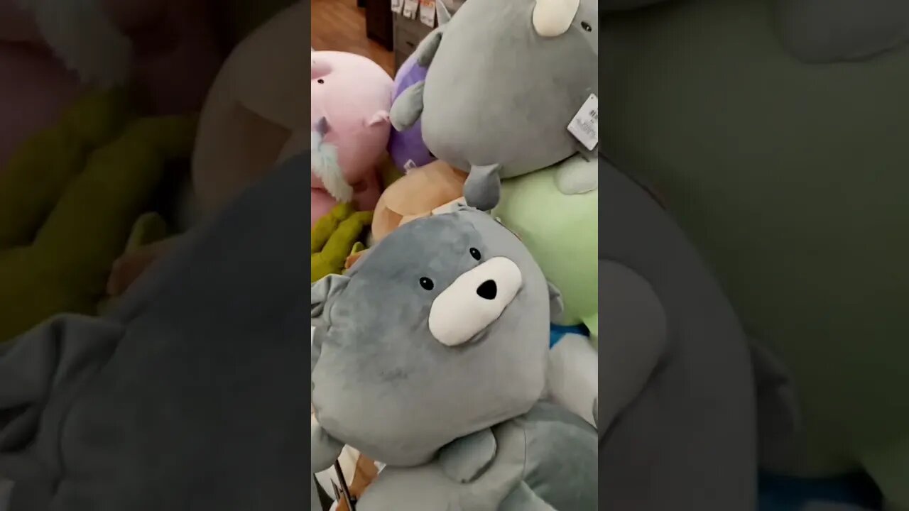 I almost thought these looked like squishmellows #shorts #plushies