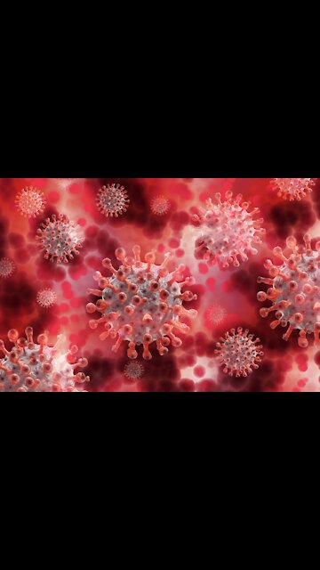 An orchestrated biological attack against my person: Gangstalking in Action : The Live Video Series