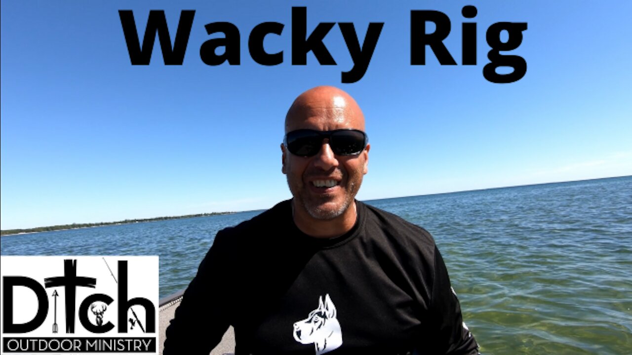 Wacky Rig smashes 20lbs of Smallmouth in 1hr 40min