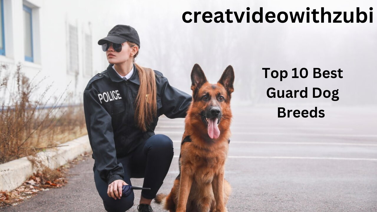 Top 10 Best Guard Dog Breeds For First Time Owners