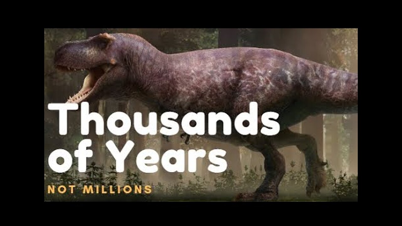How do Dinosaurs fit into the Bible?