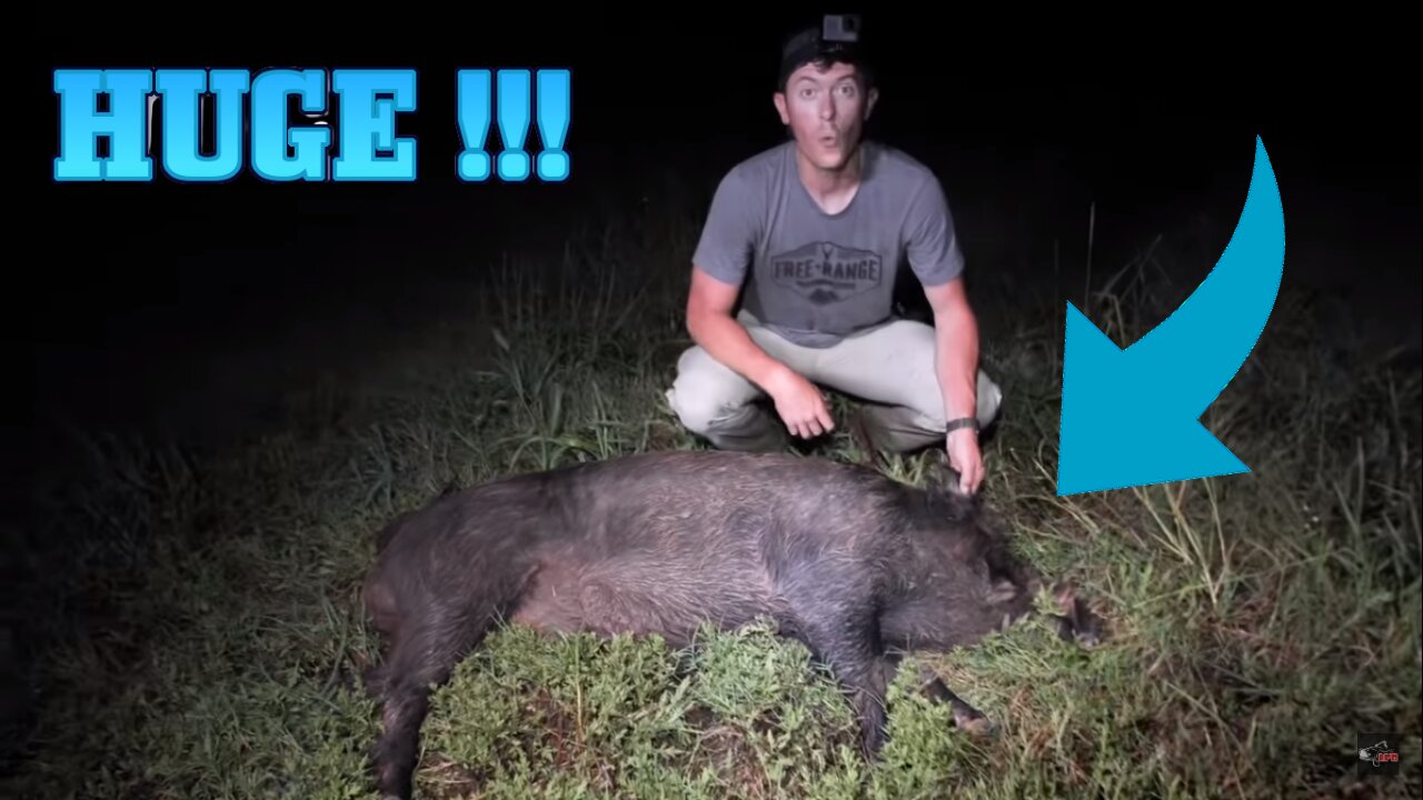 Chasing HUGE Feral Hogs on Farm Land!!