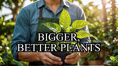 Discover the SECRET to Bigger Better Plants!