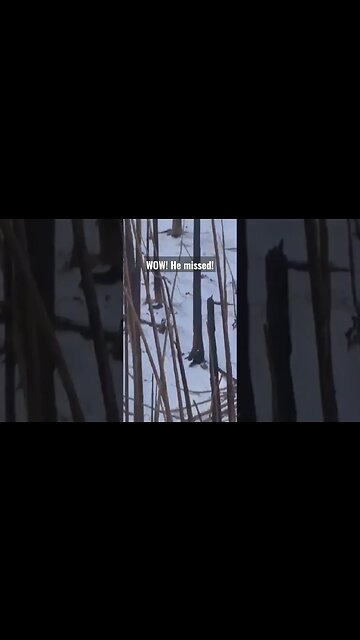 WOW! He missed! #elkhunting #elk #bullelk #wyoming #miss #hunting #shortsvideo #shortsfeed #outdoors