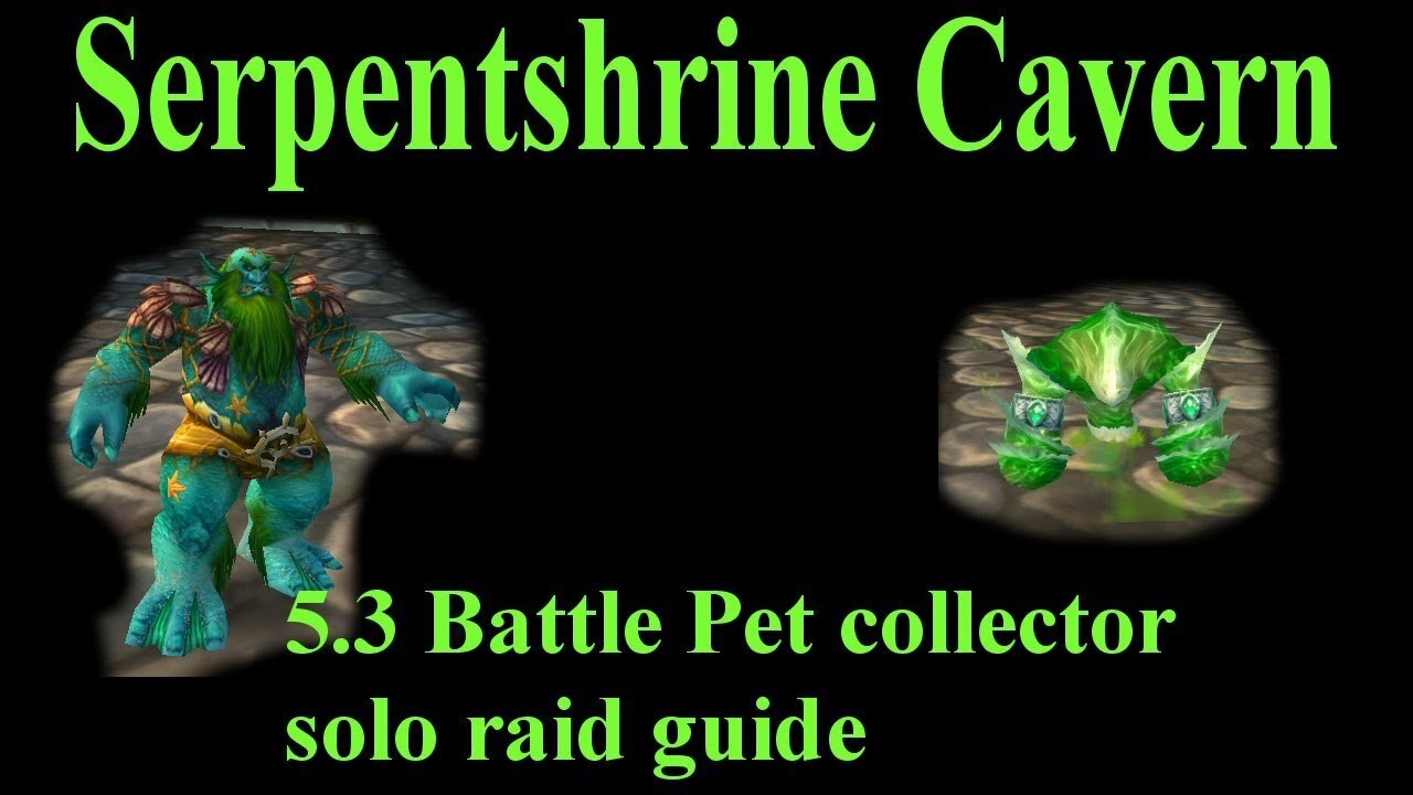 Serpentshrine Cavern 5.3 rare battle pet solo guide tutorial (Burning Crusade raid)