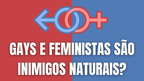 GAYS E FEMINISTAS SÃO INIMIGOS NATURAIS?