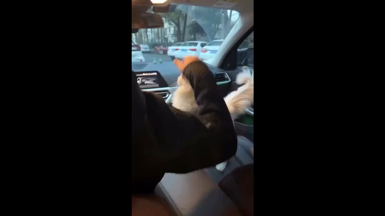 Just adorable