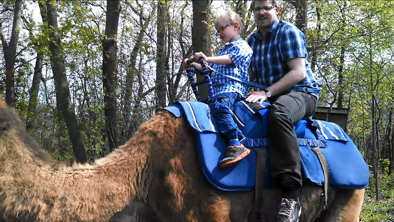 John Ball Zoo May 2014