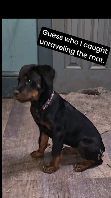 😆🎬😍👉🏼 Female