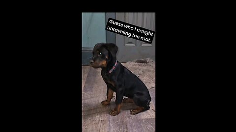 😆🎬😍👉🏼 Female