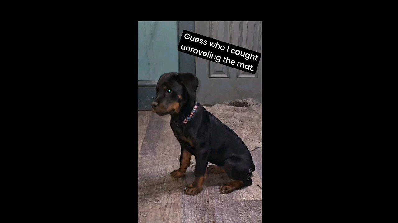 😆🎬😍👉🏼 Female