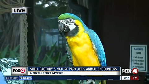 Shell Factory and Nature Park adds new "Close Encounters" exhibit - 7am live report