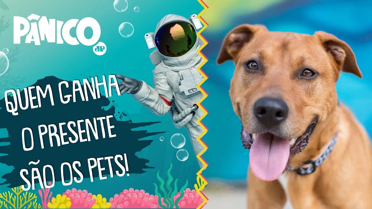 Cobasi promove ação ESPECIAL DE ANIVERSÁRIO para ANIMAIS ABANDONADOS