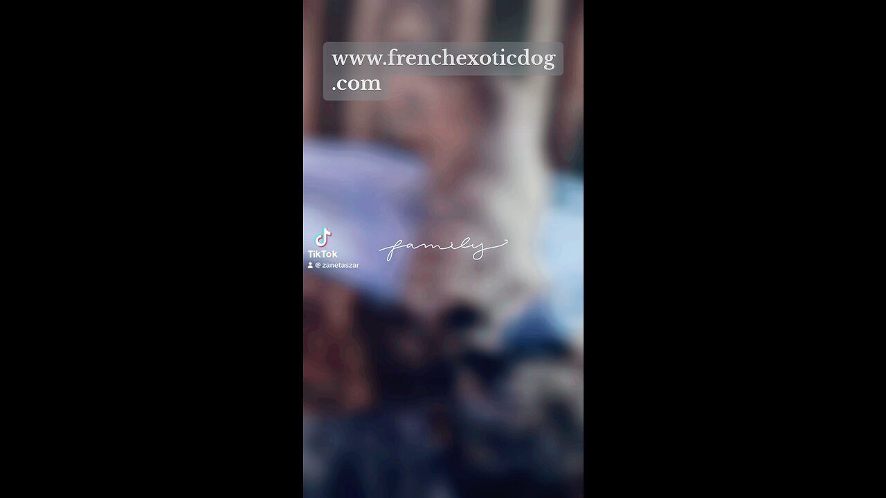 www.frenchexoticdog.com