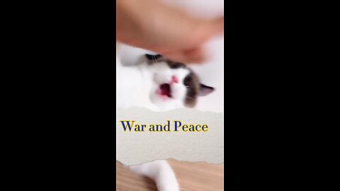 War and Peace
