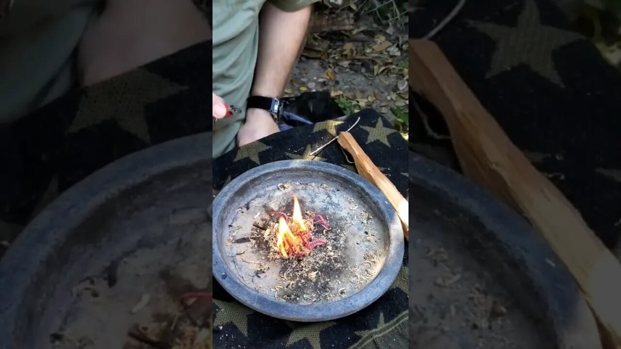We got 🔥 fire!! #shorts