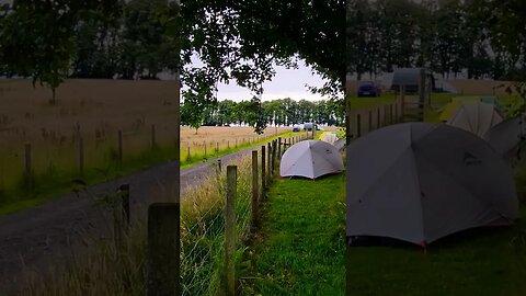 Drymen Campsite as the winds rustles the trees on the West Highland Way Scotland