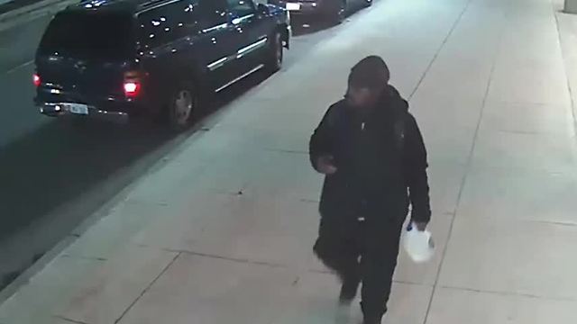 Suspect surveillance video