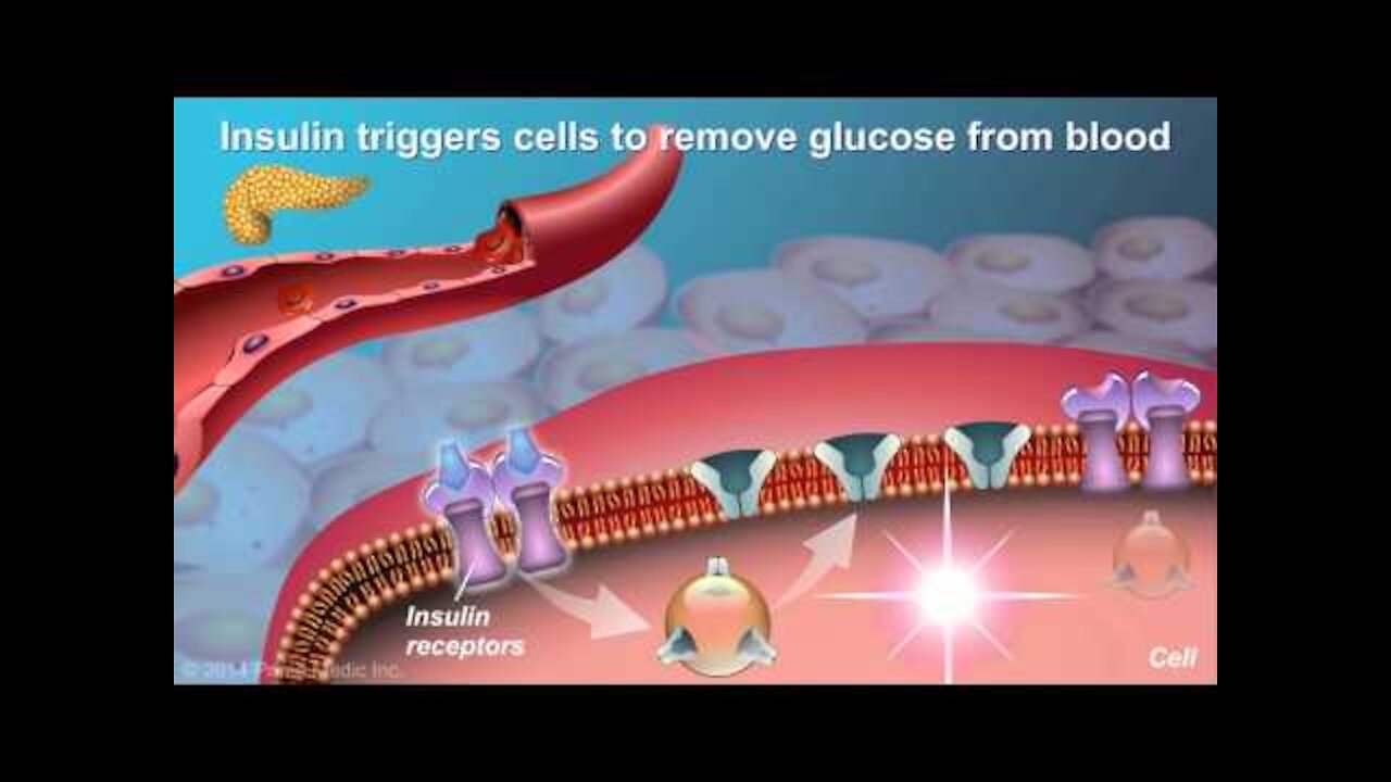 Only in this video everyone will know to about diabetes and how to control organically