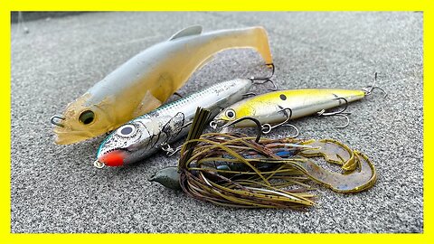 4 Baits to Catch GIANT BASS - Fall Bass Fishing