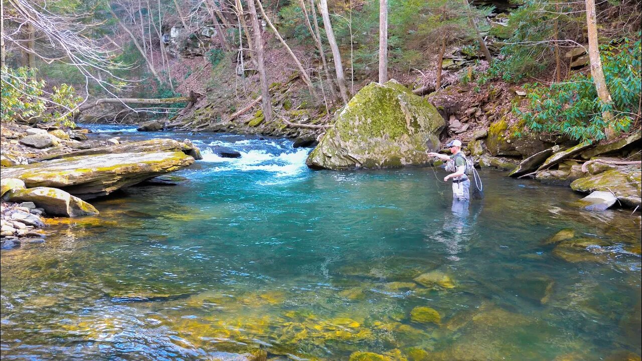 Fly Fishing for an Incredibly UNIQUE Trout!!