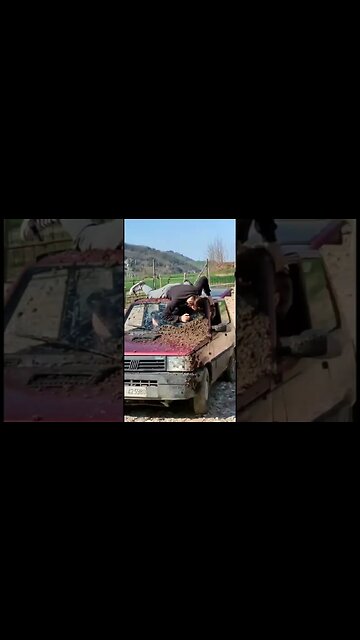 Panda 4x4 e Ignoranza romagnola 🔥