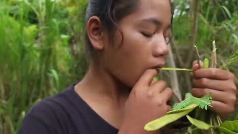 Found lots Swarm of Coconut worms for food in Jungle