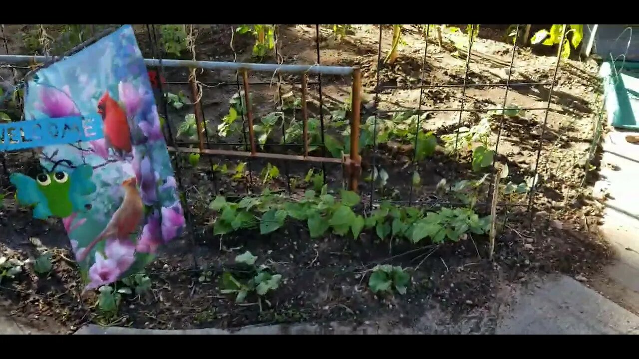 June 21st 2022 Garden Update Pt 1