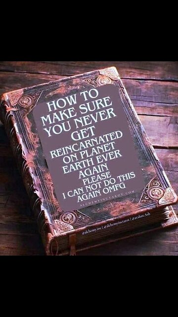 The Last 24 Hours Of The SHITSHOW