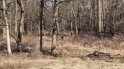 I90 woods with @bassboys #fishing #outdoorsman #naturewalk fishing and doing the hill challenge