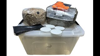 The Family Fable | Part 2 | Mixing Grains and Substrate