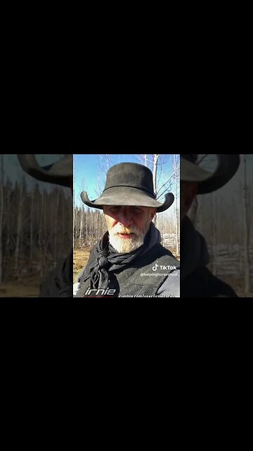 REAL CDN COWBOY Amazing What Groceries will do for a horse!