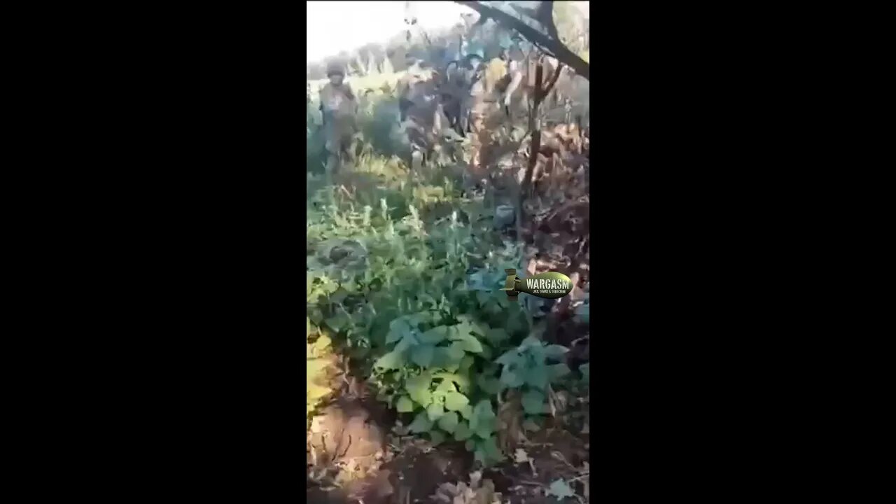 Two Ukrainian soliders disabled by mines