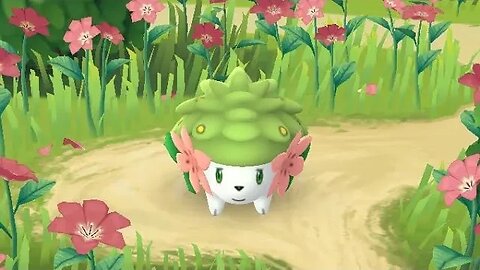 I Caught a Rare Shaymin in PokéMon Go!