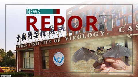 Catholic — News Report — In the Beginning