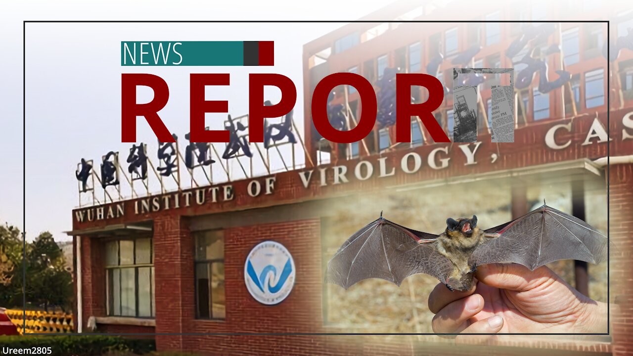 Catholic — News Report — In the Beginning