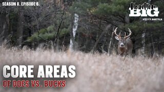 Doe Versus Buck Bedding Areas