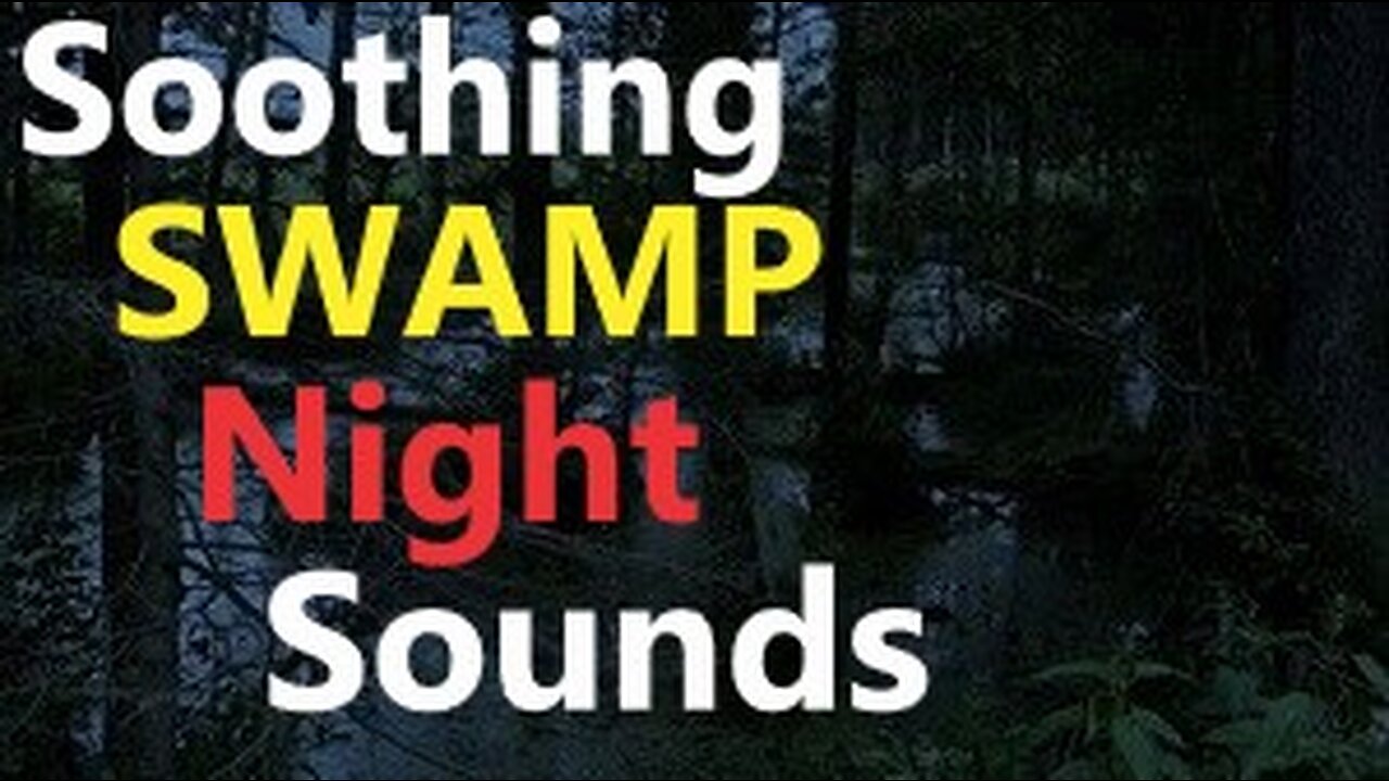 Swamp Sounds at Night - Frogs Owls Crickets, Birds, Rain, Night Ambient Sounds, Forest Nature Sounds