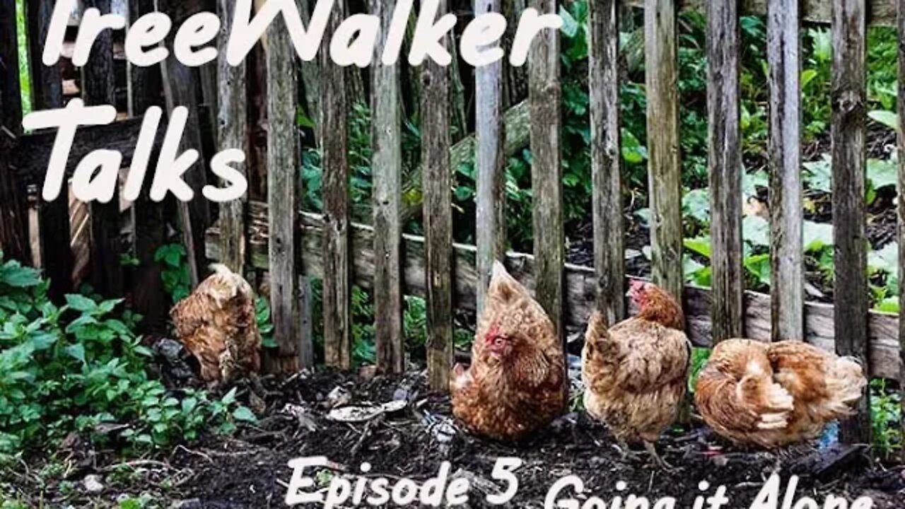 TreeWalker Talks Podcast Episode 5: Going It Alone