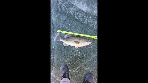 still fishen