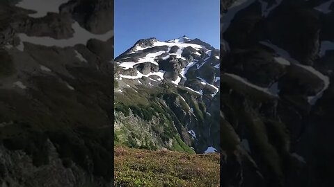 Washington Was A Dream tiktok outsidedave1196
