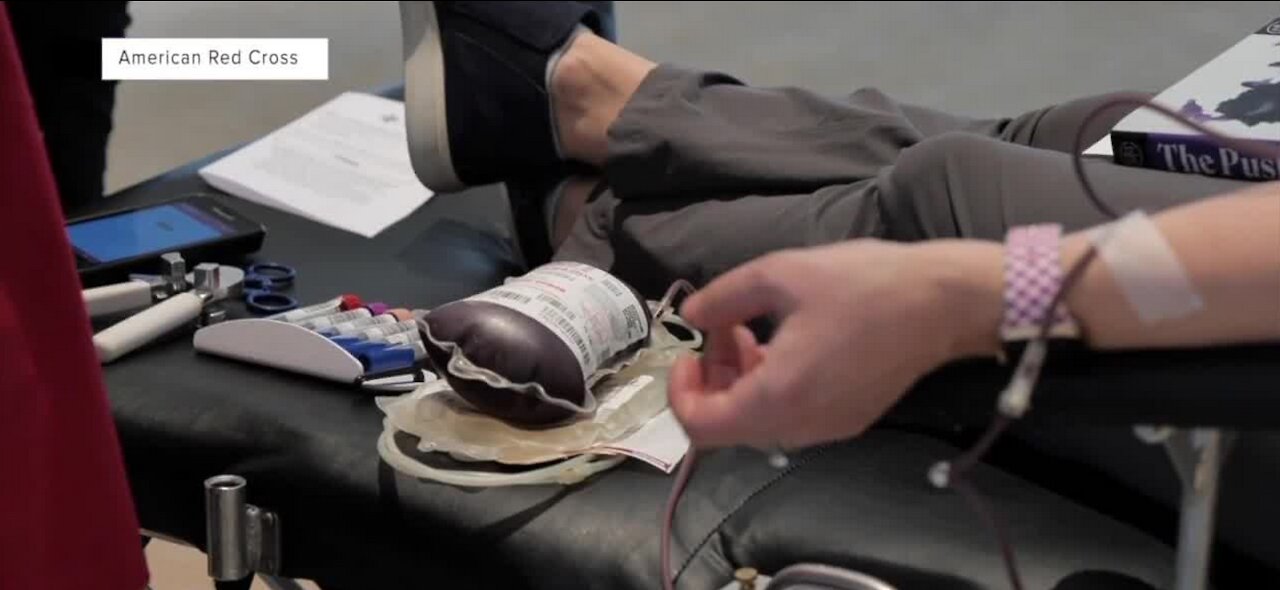 American Red Cross: possible blood shortage during summer months